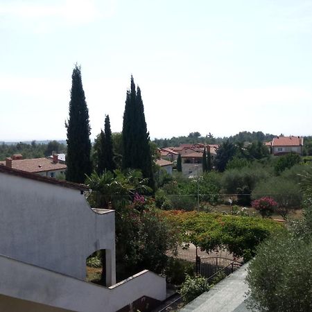 Villa Carolina Tar-Vabriga 외부 사진